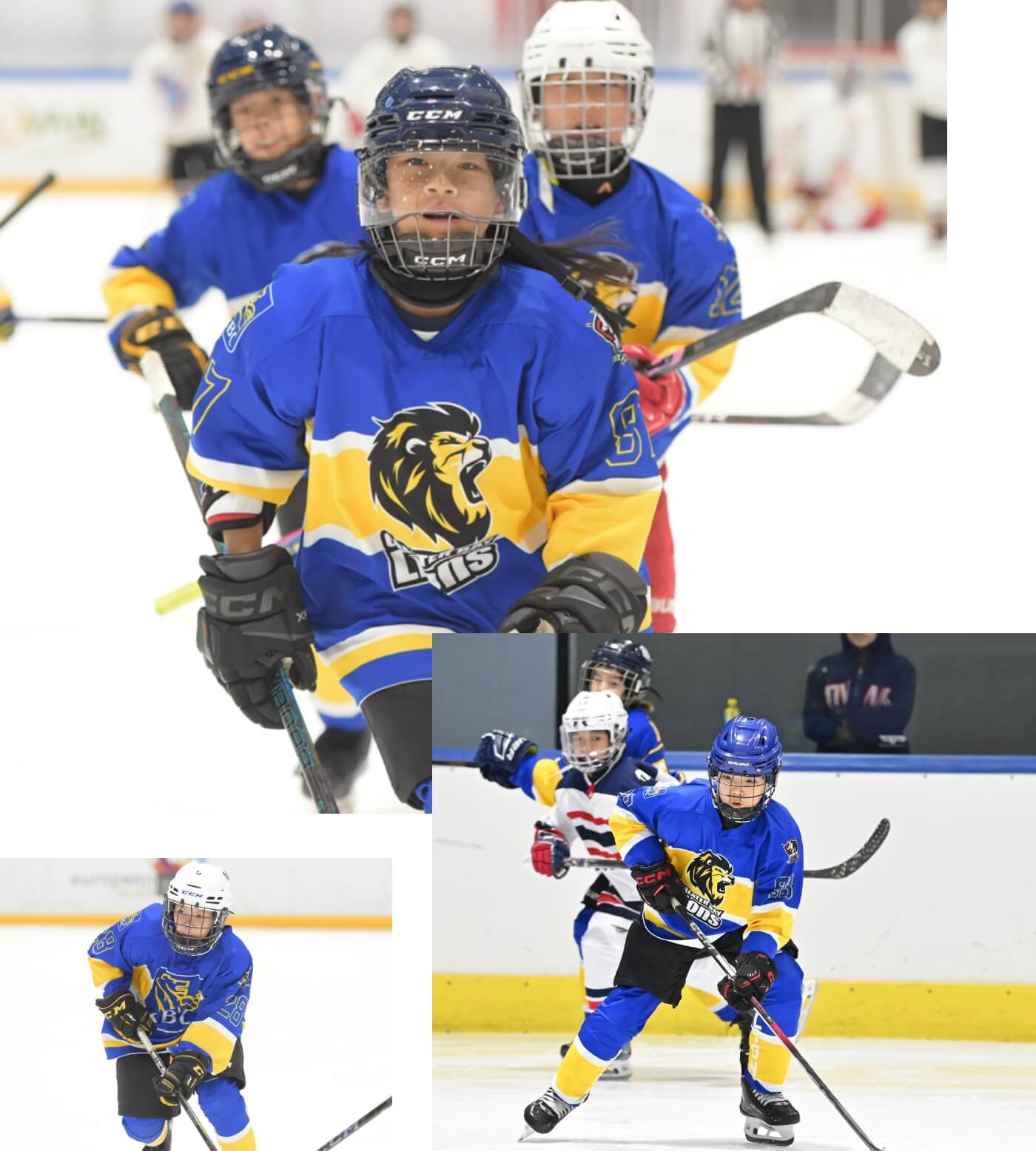 Elite lions team