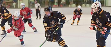 A group of ice hockey players