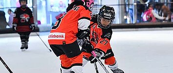 Two young ice hockey players
