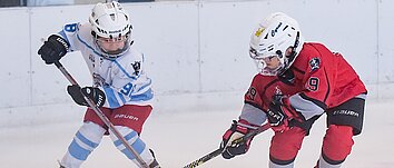 two young ice hockey players during the training