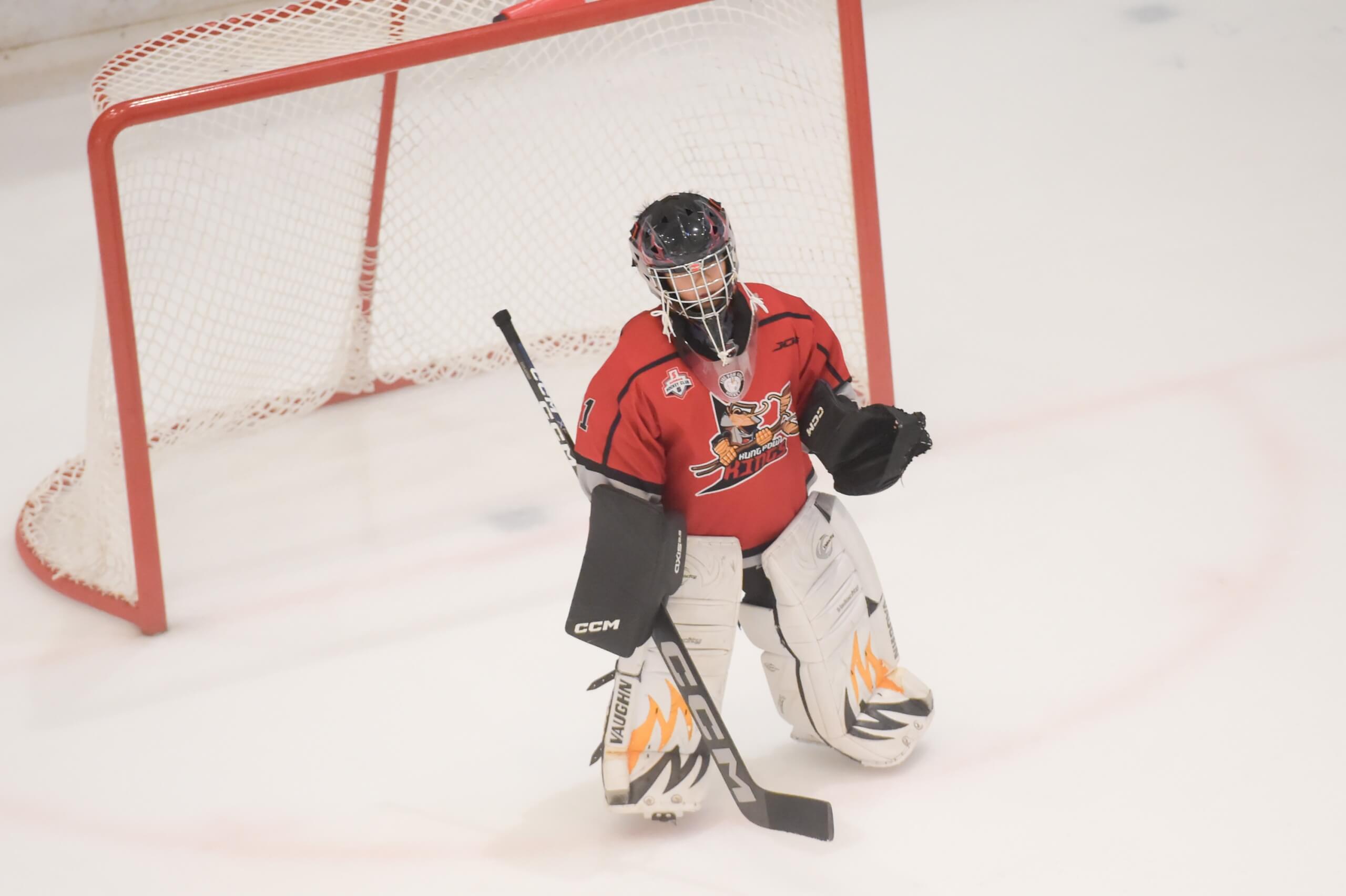 A goalie being ready