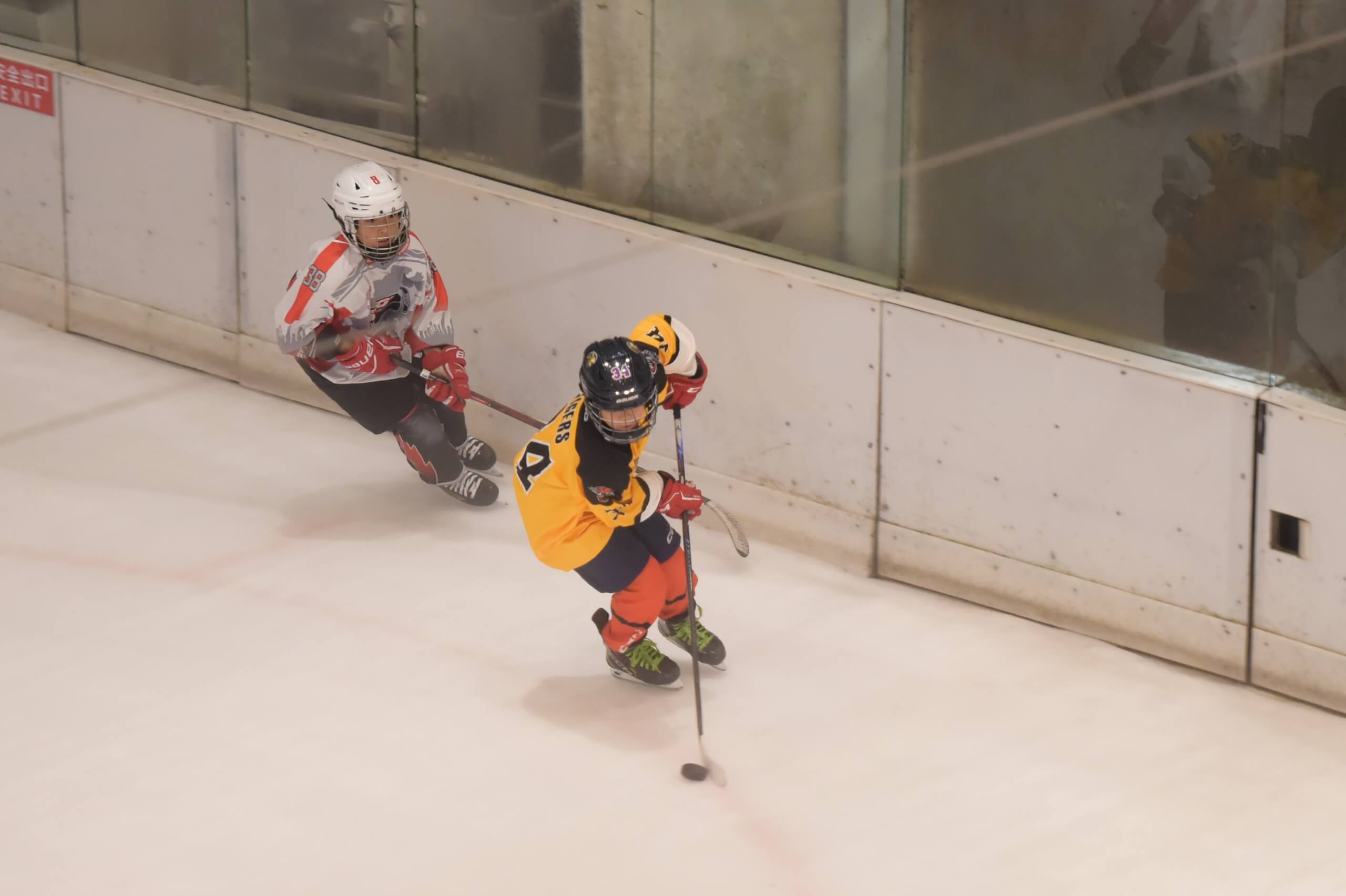 Two Ice Hockey players