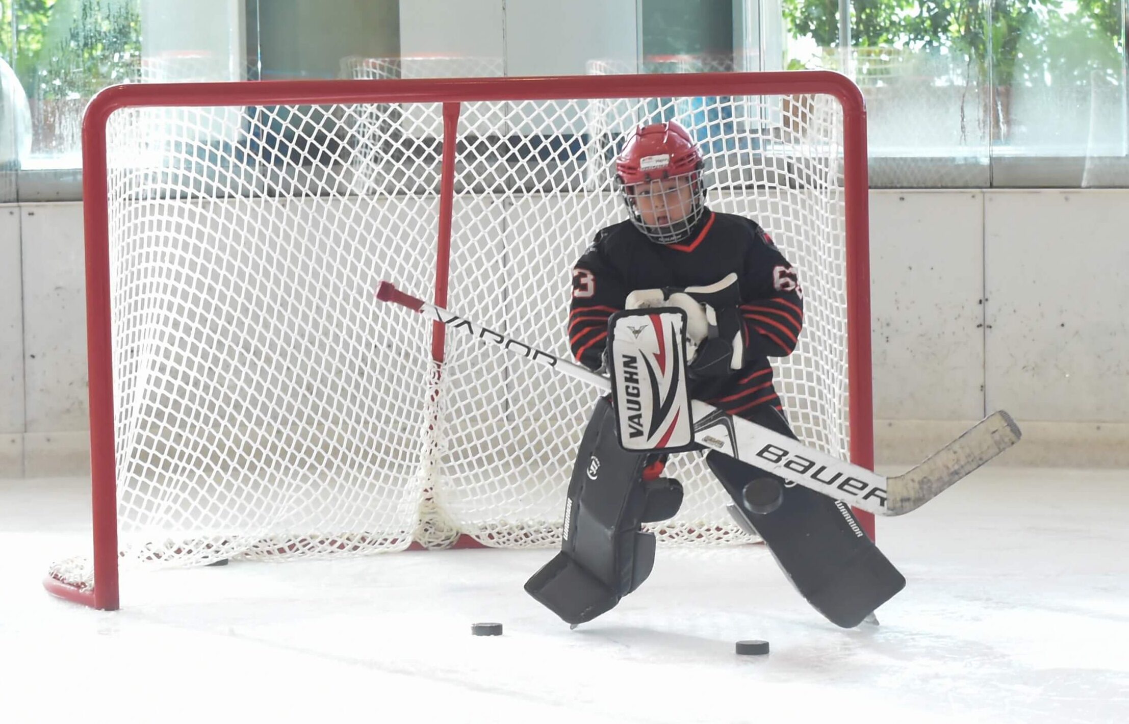A goalie during the game