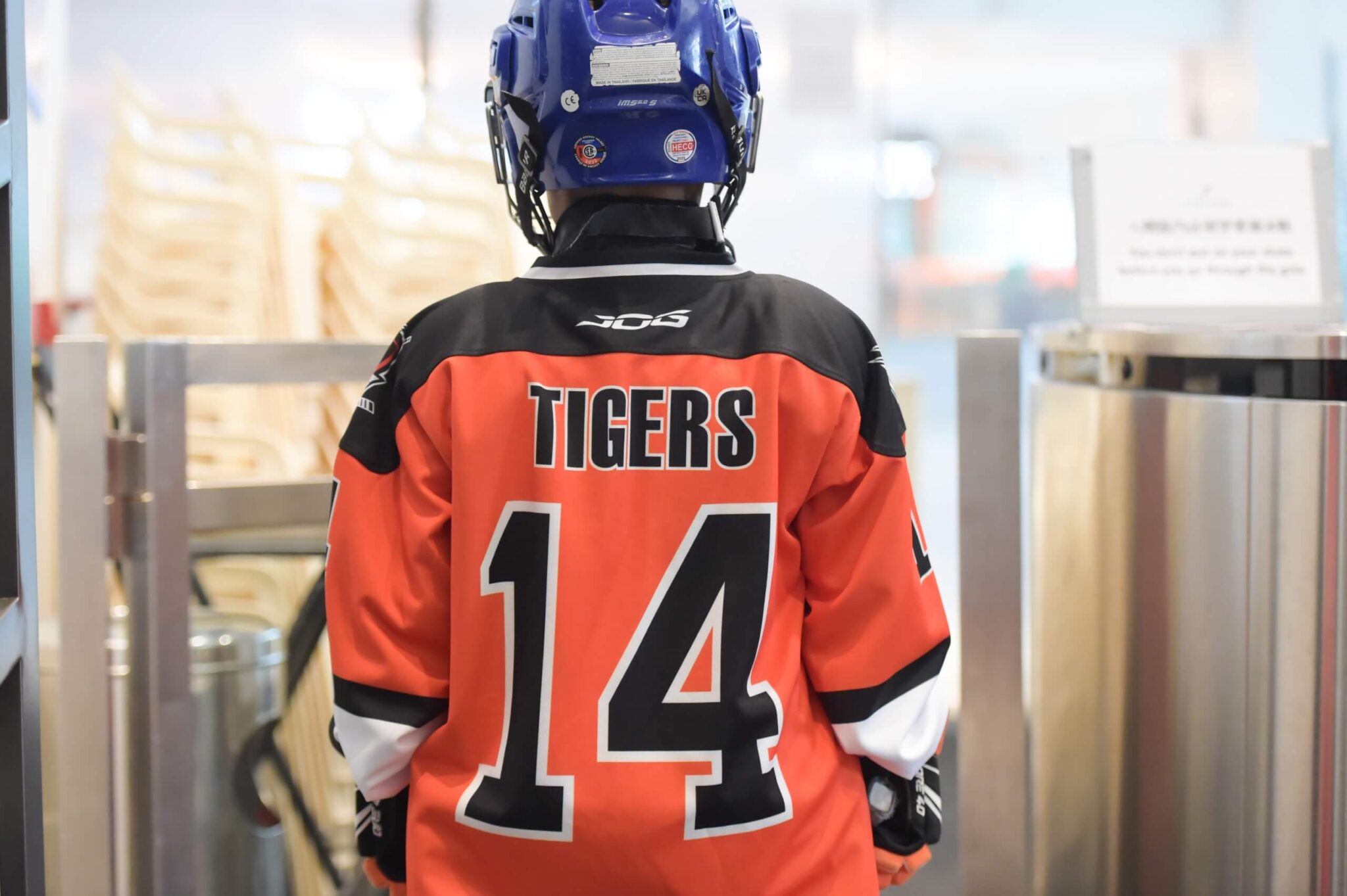 An Ice Hockey Player