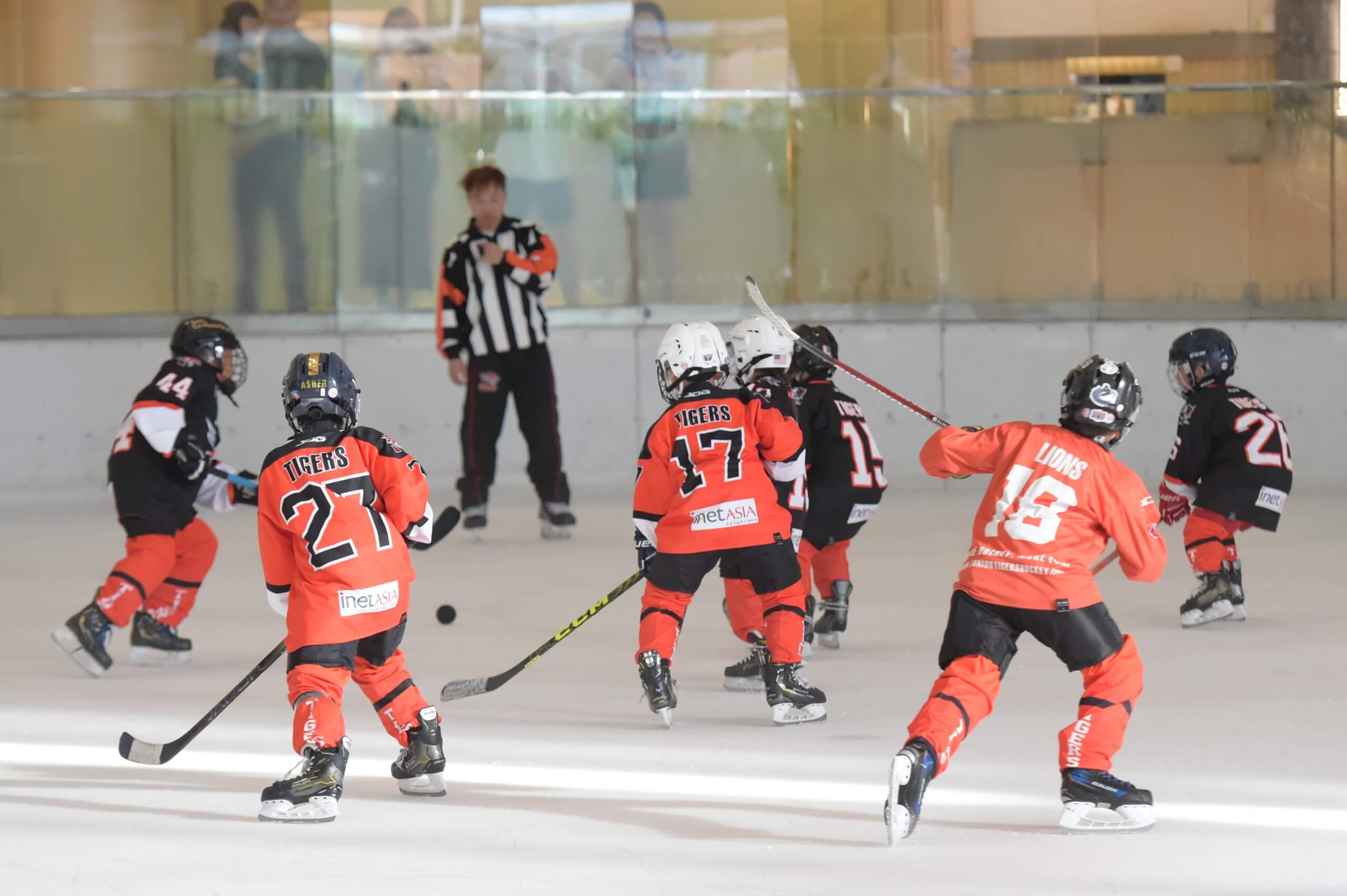 A group of young ice hockey players during the training