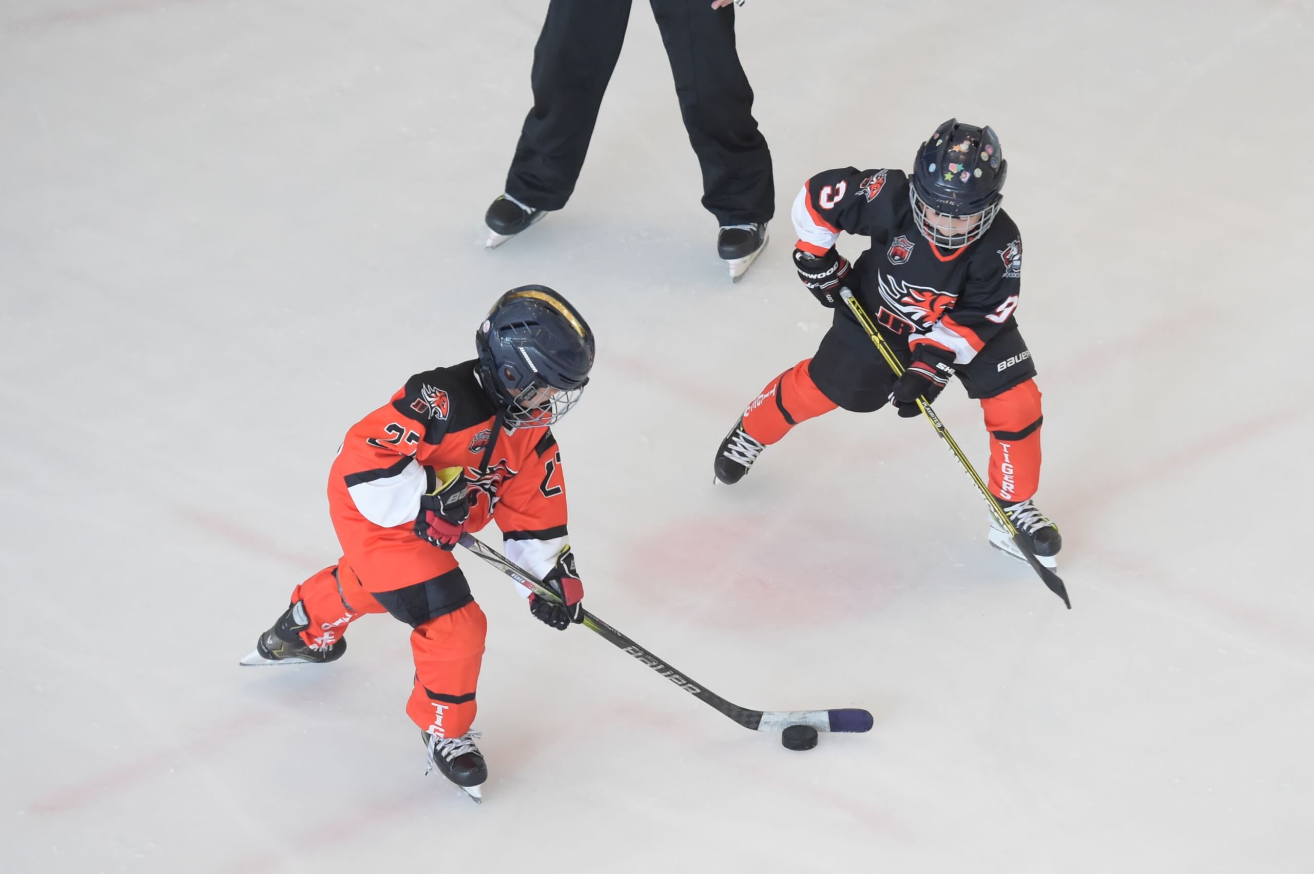 Two young ice hockey players during the training